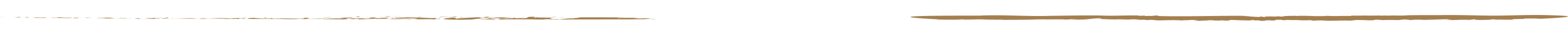 締めもの